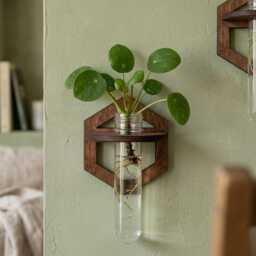 Propagation Wall Hanging, Propagating Glass Vase, Bud Test Tube, Mounted Planter, Handcrafted Plant Decor, Wood Hanging Gift - thumbnail 4