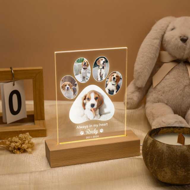 Personalized Dog Photo Night Light, Custom Paw Collage Led Lamp, Memorial Gift, Lover Pet Plaque, Loss Gift - image 1