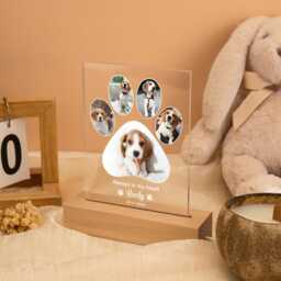 Personalized Dog Photo Night Light, Custom Paw Collage Led Lamp, Memorial Gift, Lover Pet Plaque, Loss Gift - thumbnail 4
