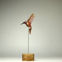 Hummingbird - 111