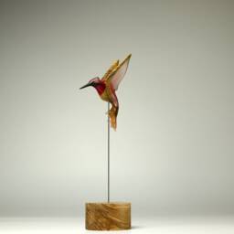 Hummingbird - 111 - thumbnail 2