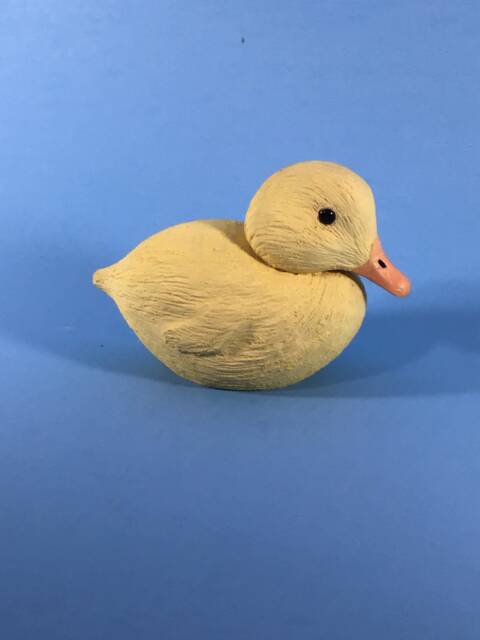 Duckling - image 1