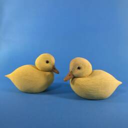 Duckling - thumbnail 3