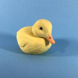 Duckling - thumbnail 2