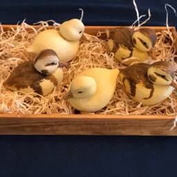 Duckling - thumbnail 4
