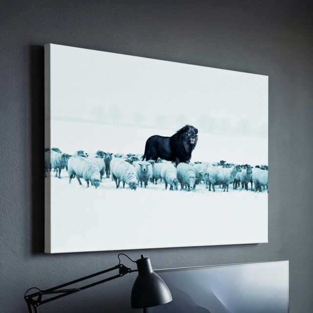 Lion Amongst Sheep Success Hustle Motivational Inspirational, Framed Canvas Wall Art Poster Print, Home Office & Room Decor, Gift Idea - image 1