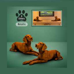 Personalised Pair Hungarian Vizsla's, Metallic Finish Statues, Ornaments, Bookends - Dog Lovers Gifts, Memorial Keepsakes - thumbnail 1