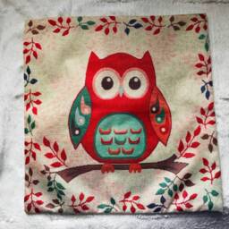 Owl Print Decorative Pillow Covers - thumbnail 4