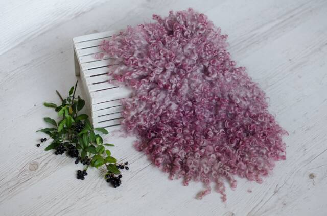 Newborn Photo Prop, Curly Wool Layer, Baby Photography Wraps, Felted Blanket, Newborn Flokati - image 1