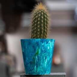 Recycled Plastic Succulent Pot - Eco-Friendly Indoor Cacti