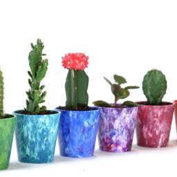 Recycled Plastic Succulent Pot - Eco-Friendly Indoor Cacti - thumbnail 2
