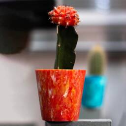 Recycled Plastic Succulent Pot - Eco-Friendly Indoor Cacti - thumbnail 4