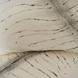 "Quattro Federe Di Cuscino, in Bianco Con Decorazione Nera ""Plume" - thumbnail 3