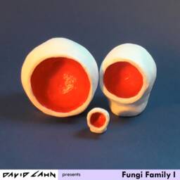 Fungi Family I - thumbnail 3
