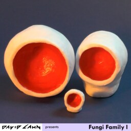 Fungi Family I