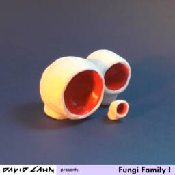 Fungi Family I - thumbnail 2