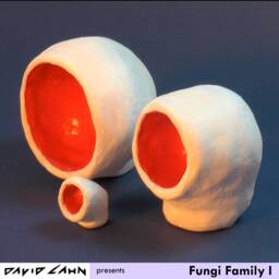 Fungi Family I - thumbnail 4