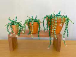 Glass Beaded Succulent Plant, Suncatcher, Ornament, 3 Sizes - thumbnail 1