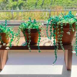 Glass Beaded Succulent Plant, Suncatcher, Ornament, 3 Sizes - thumbnail 2