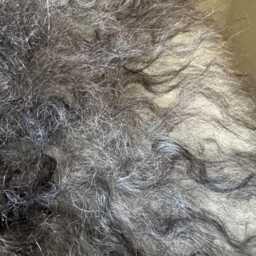 xl Large Icelandic Sheepskin Rug Long Wavy Wool, Natural Undyed Grey/Silver/White/Ivory/Black Colour - thumbnail 3
