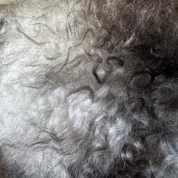 xl Large Icelandic Sheepskin Rug Long Wavy Wool, Natural Undyed Grey/Silver/White/Ivory/Black Colour - thumbnail 2