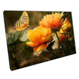 Elegant Floral Butterfly Canvas Ready-To-Hang Wall Art For Home & Office Decor - thumbnail 1