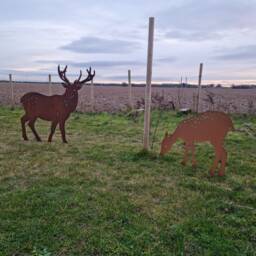 Rusty Metal Stag Garden Statue UK Made Deer Sculpture Ornament - thumbnail 4