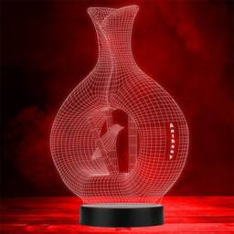 3D Style Bird & Vase Personalised Gift Colour Changing Led Lamp Night Light