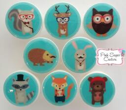Teal Knobs Hipster Woodland Animals Friends #3 M2M Bedding Forest Kids Nursery Drawer Pulls ... So Cute