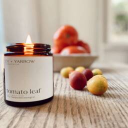 8Oz Refillable Wooden Wick Candle Clean Burn Apricot Coconut Soy Wax Anthro Farmhouse Apothecary - thumbnail 3