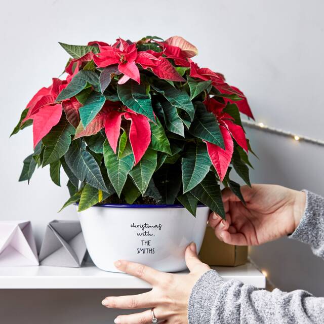 Personalised Christmas Enamel Planter - image 1