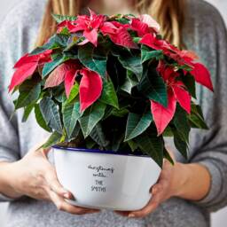 Personalised Christmas Enamel Planter - thumbnail 3