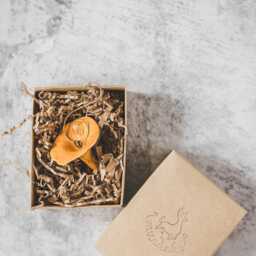 Chanterelle Mushroom Christmas Ornament - Woodland Holiday Decor, Nature Inspired Handmade Pottery - thumbnail 2