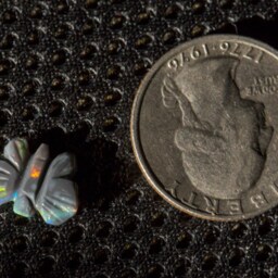Rainbow Blackopal Butterfly With Red Green & Blue Fire Opal Carving - 1.8 Cts - thumbnail 4