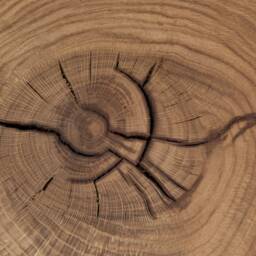 Handcrafted Oak Wood Wall Sconce, Luna Q, Ambient Lamp, Rustic Bedside Light - thumbnail 3