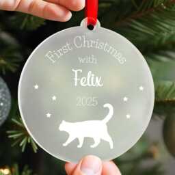 Cat Christmas Decoration - First New Kitten Gift Ornament Lover With Red Bag - thumbnail 1