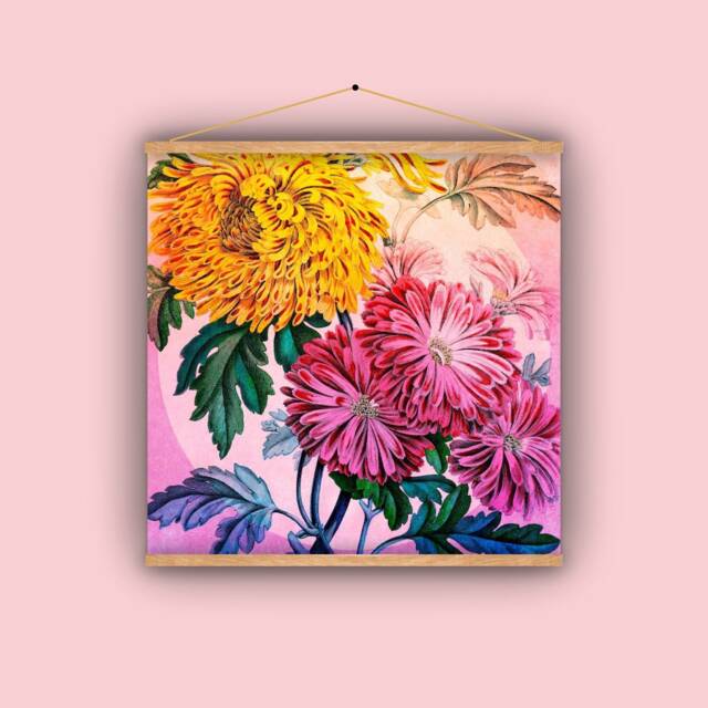 Chrysanthemums, Mums, Fall Flowers, Garden Lover, 1860S, Natural History, Botanical, Vintage Image, Antique Art, Wall Hanging - image 1