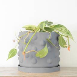 "Polka Dot Planter With Drainage & Saucer in Gray, Unique 3D-Printed Plant Pot, Small To Large Sizes 4"" 5"" 6"" 7"" 8" - thumbnail 2