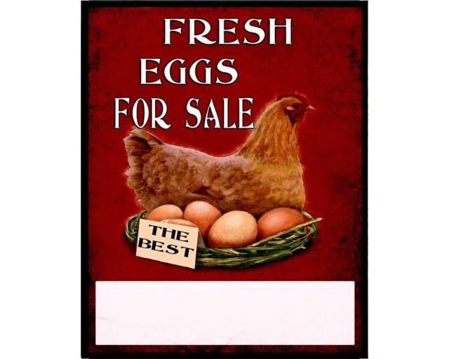 Fresh Eggs For Sale Vintage Enamel Metal Tin Sign Wall Plaque