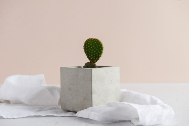 Cube Shaped Indoor Concrete Plant Pot - image 1