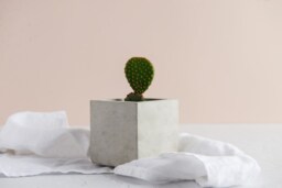 Cube Shaped Indoor Concrete Plant Pot - thumbnail 1
