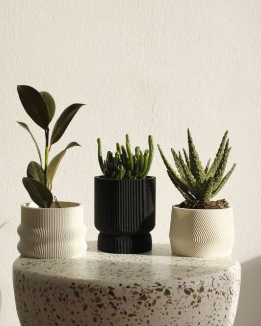 Set Of 3 Black & White Small 3D Printed Plant Pots Homer, Mayla, Elif - image 1