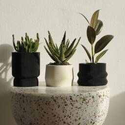 Set Of 3 Black & White Small 3D Printed Plant Pots Homer, Mayla, Elif - thumbnail 2