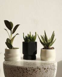 Set Of 3 Black & White Small 3D Printed Plant Pots Homer, Mayla, Elif - thumbnail 1