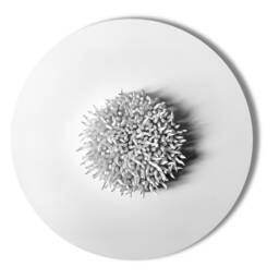 Spiky Round Wall Sculpture On A 20-Inch Diameter Canvas, Contemporary Art, White Clay Monochrome Art - thumbnail 1