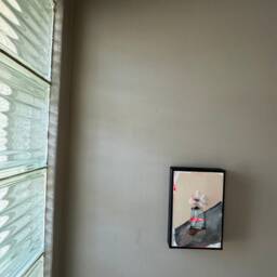 To Love The Slant - thumbnail 3