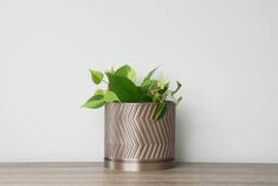 "Gatsby Planter With Drainage & Saucer in Champagne Bronze, Art Deco 3D-Printed Plant Pot, Small To Large Sizes 4"" 5"" 6"" 7"" 8" - thumbnail 1