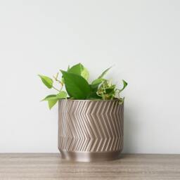 "Gatsby Planter With Drainage & Saucer in Champagne Bronze, Art Deco 3D-Printed Plant Pot, Small To Large Sizes 4"" 5"" 6"" 7"" 8" - thumbnail 2