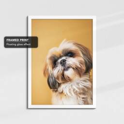Shih Tzu 5 Dog Framed Poster Print Canvas Wall Decor Art Bedroom Home Interior Gift For Pet Lover - thumbnail 3