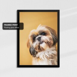 Shih Tzu 5 Dog Framed Poster Print Canvas Wall Decor Art Bedroom Home Interior Gift For Pet Lover - thumbnail 2